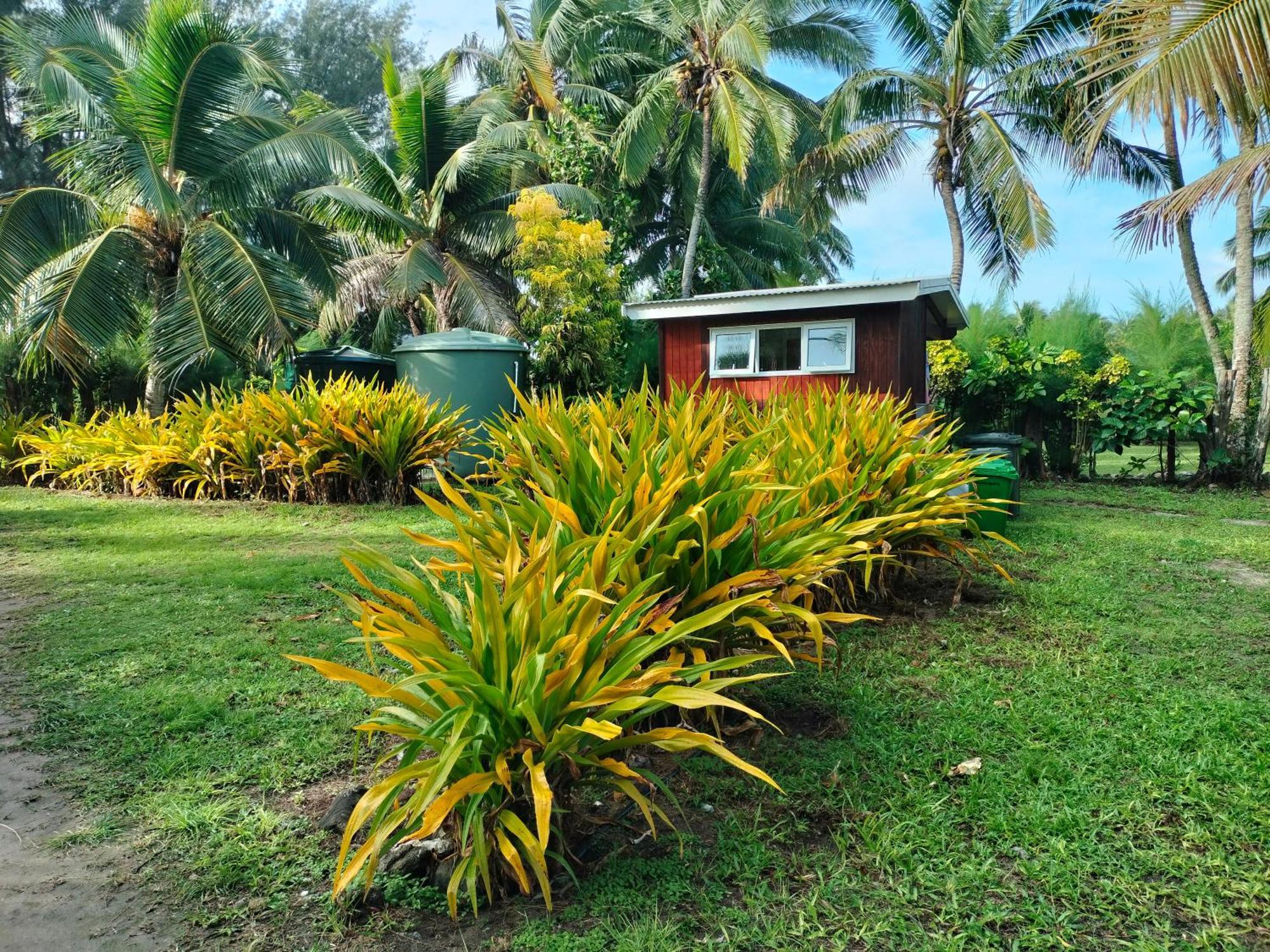 Oronga Beach Arorangi Ngoại thất bức ảnh