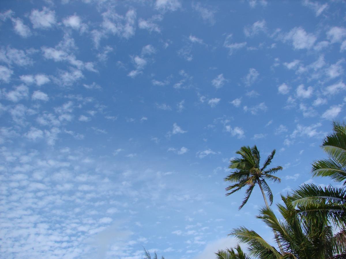 Oronga Beach Arorangi Ngoại thất bức ảnh